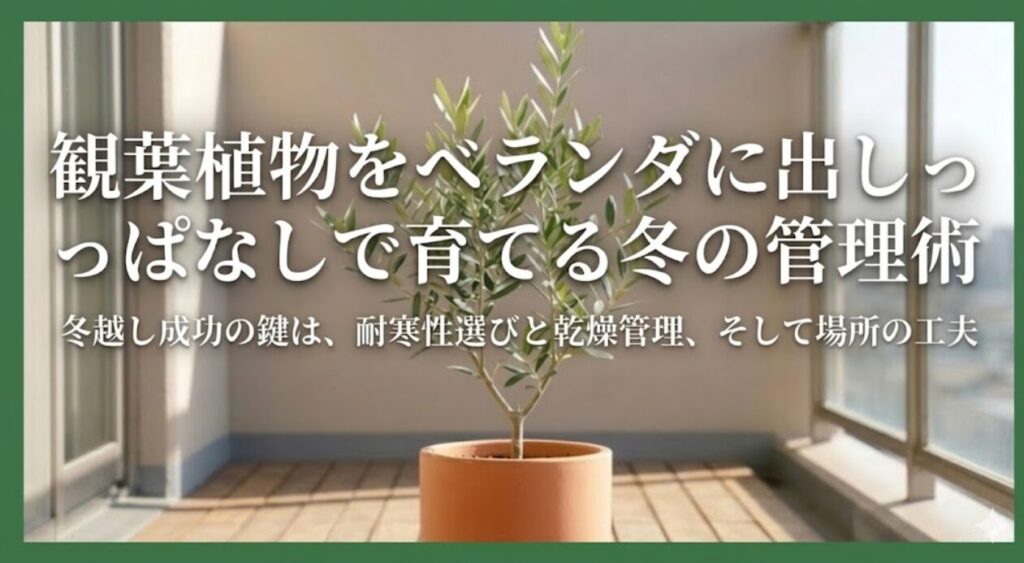 Gemini の回答 日当たりの良いマンションのベランダを背景に、中央に置かれたテラコッタ鉢に植えられたオリーブの木の写真。