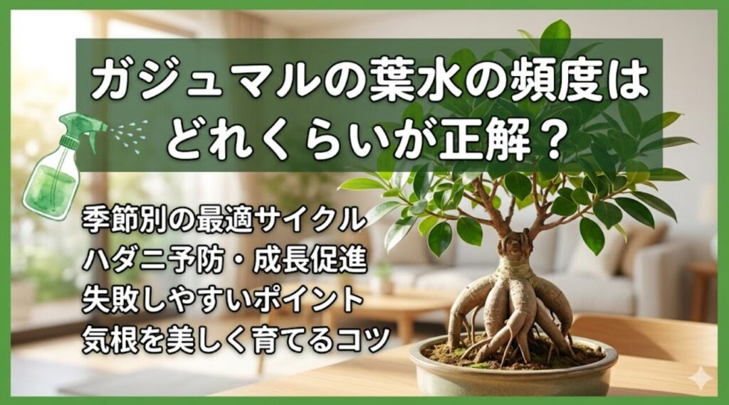 陶器の鉢に植えられた、太い気根が特徴的なガジュマルの盆栽。明るいリビングルームを背景に、霧吹きから水滴が飛んでいる様子が描かれています。